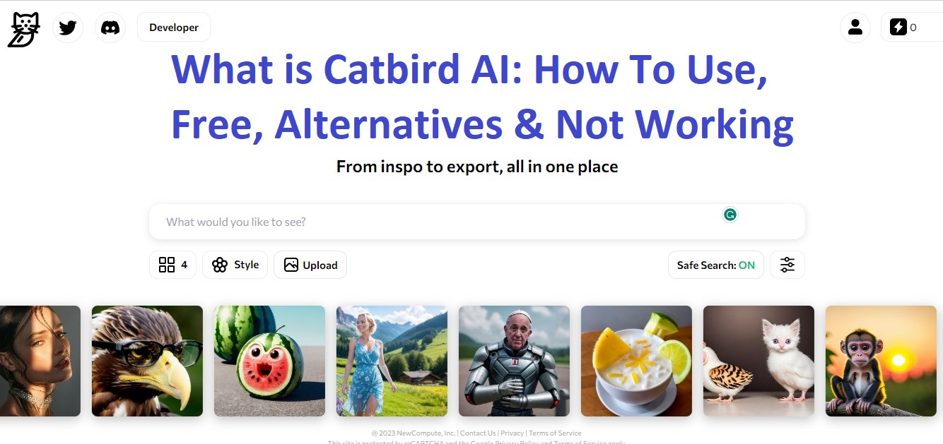 What is Catbird AI: How To Use, Free, Alternatives & Not Working