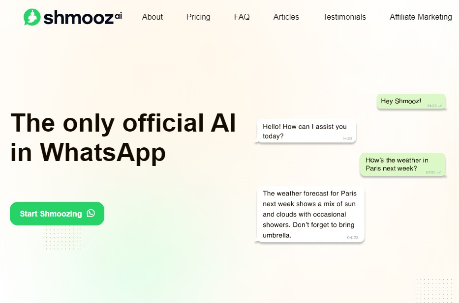 How To Use Shmooz AI: A Complete Guide